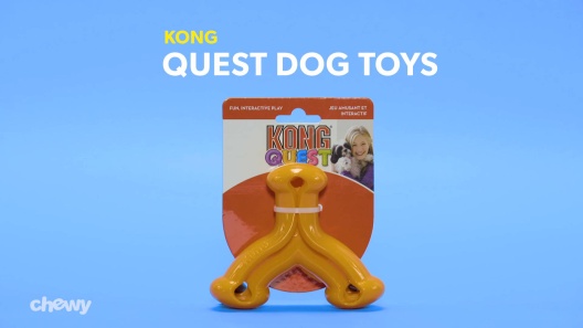 KONG Quest Wishbone Dog Toy, Color Varies, Large 