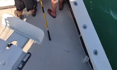 Wanchese Report Video 0