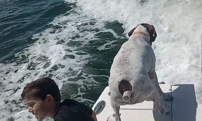 Port Charlotte Report Video 0