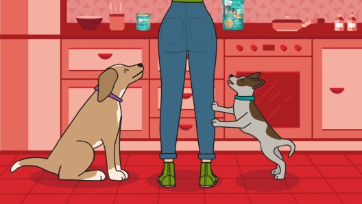 Weruva Dogs in the Kitchen The Double Dip with Beef & Wild Caught Salmon Au Jus Grain-Free Canned Dog Food