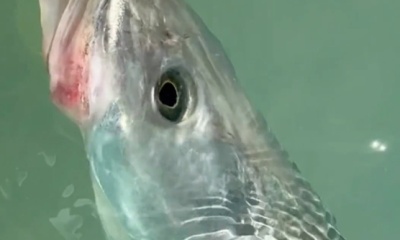 Key Largo Report Video 0