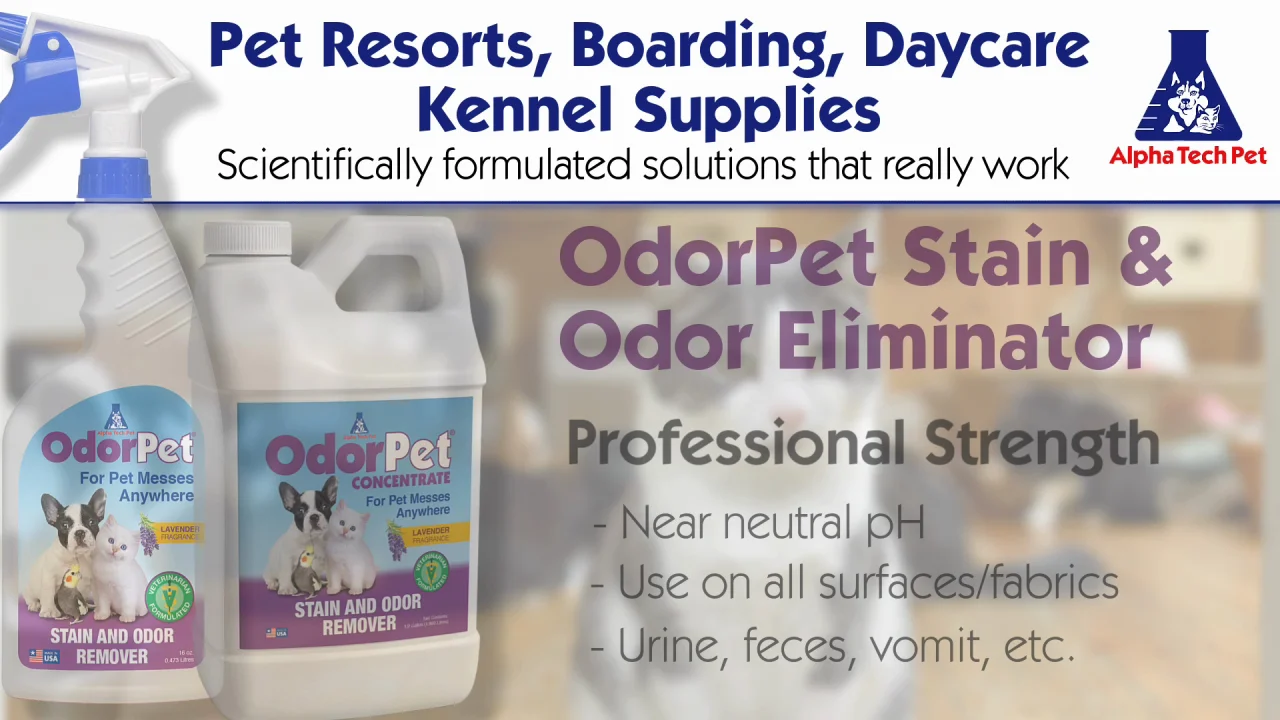 Dog boarding shop business supplies