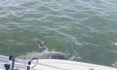 Bucket list checked!