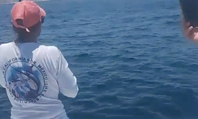 San Jose del Cabo Report Video 0