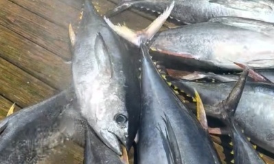 Nags Head Report Video 0