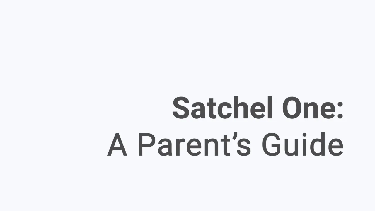 Satchel one show online my homework