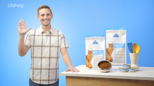 Play Video: Learn More About Blue Buffalo Natural Veterinary Diet From Our Team of Experts