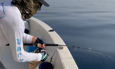 Fujairah Report Video 0