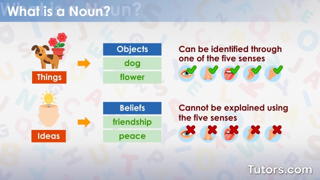 what type of noun is dog