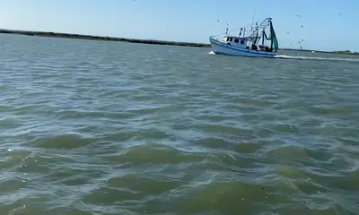 Rockport Report Video 0