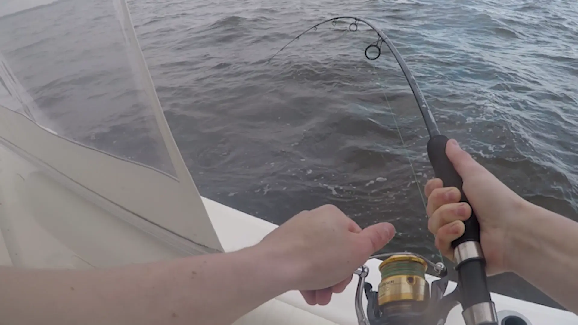 Business Card: Bass Lines Sport Fishing Charters