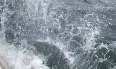 Galveston Report Video 0