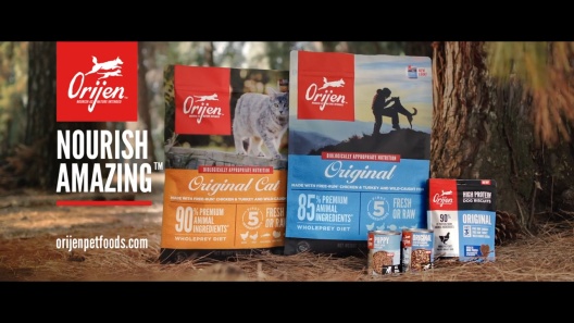 ORIJEN Original Grain-Free Dry Dog Food
