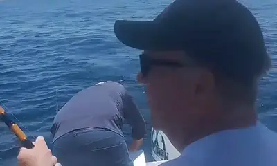 San Jose del Cabo Report Video 1