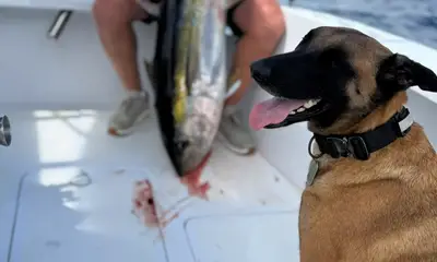second mate on board