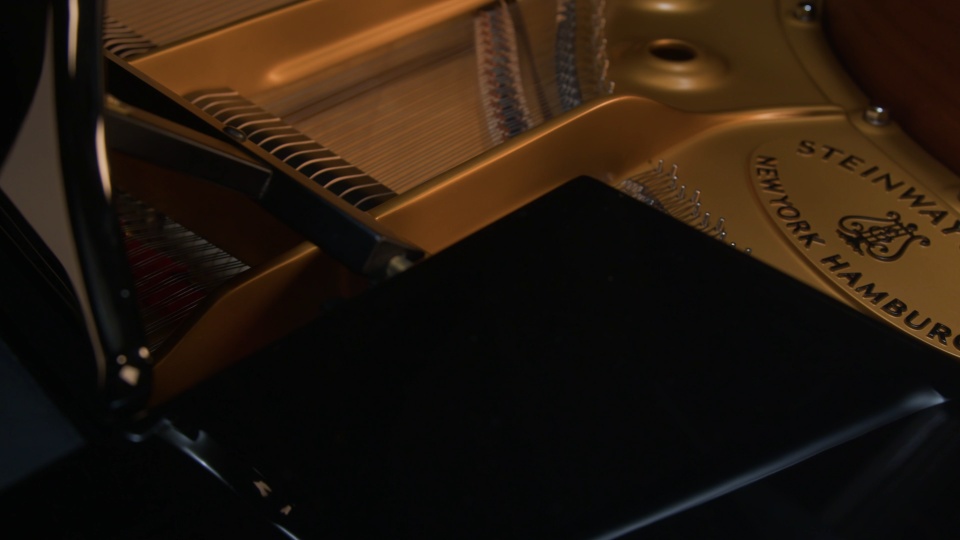 2024 Steinway Grand B