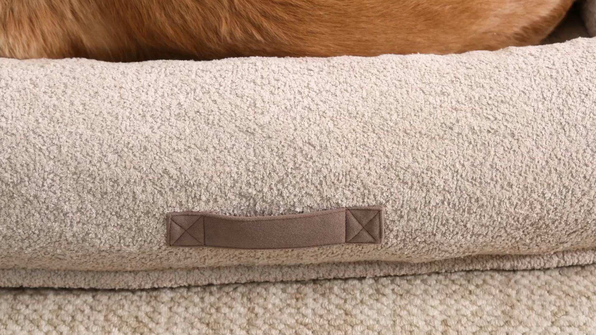 ARLEE HOME & PET Bumper Box Memory Foam Orthopedic Dog Bed with