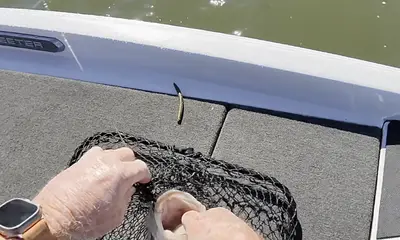 Austin Report Video 0