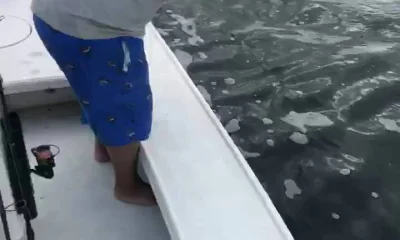 Tampa Report Video 0