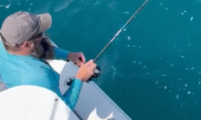 Beaufort Report Video 0