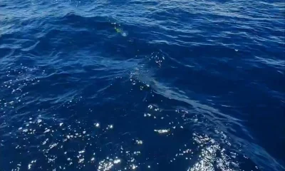 Panama City Report Video 0