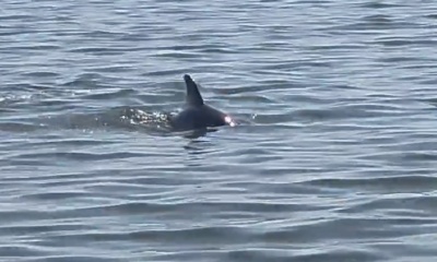 Great time on a beautiful day