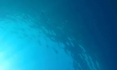 Poreč Report Video 0