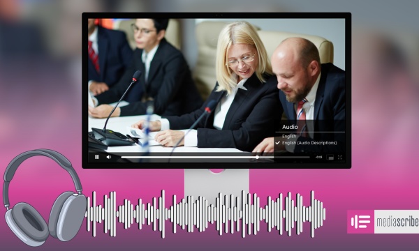 Beyond Captions: The Importance of Audio Descriptions for Government Video Accessibility
