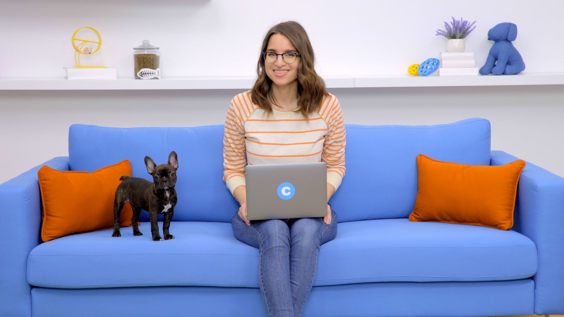 chewy store location