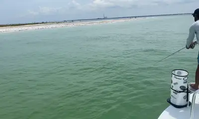 Tarpon Springs Report Video 0