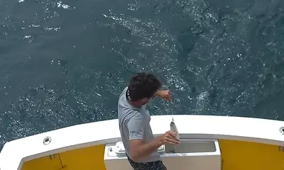 Wanchese Report Video 1