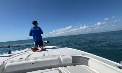 Port Orange Report Video 0