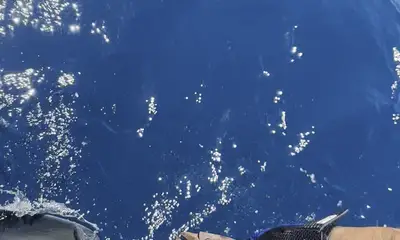 Tavira Видео отчет 1