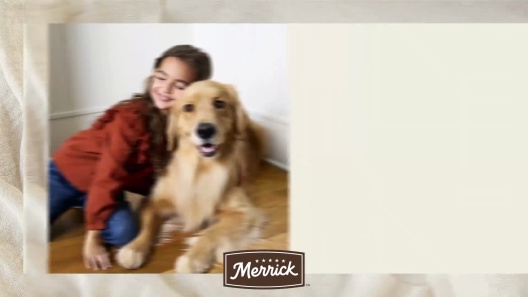 Merrick Real Texas Beef + Sweet Potato Recipe Grain-Free Chicken-Free Adult Dry Dog Food
