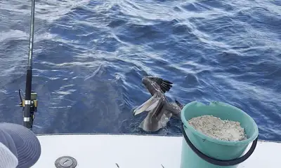 capt and Janiero were awsome!!