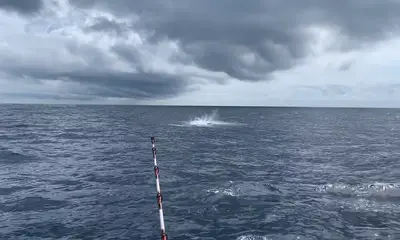 Atlantic Beach Report Video 0