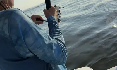 Jacksonville Report Video 2