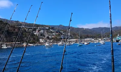 Dana Point Report Video 0