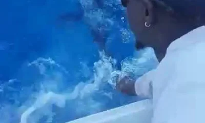 Punta Cana Report Video 0