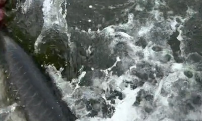 amazing fishing trip!!