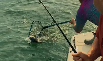 3/11 Nearshore/Inshore 