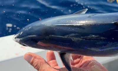 Richard was a blast to fish with. Super knowlegable, fast nice boat.