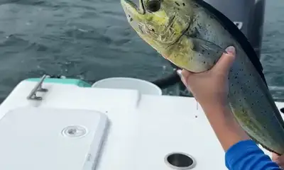 Quepos Bericht Video 2