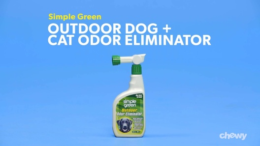 Play Video: Learn More About Simple Green From Our Team of Experts
