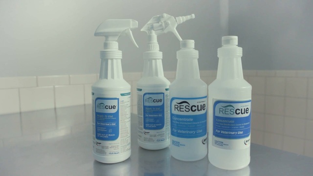 Find High-Quality foaming spray bottle for Multiple Uses 