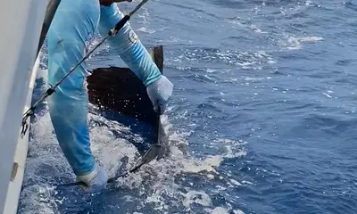 Playa Hermosa Report Video 0