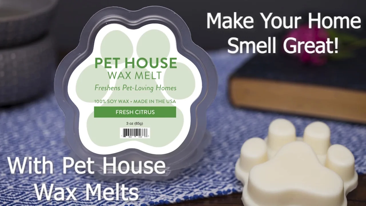 Are Wax Melts Dangerous To Dogs