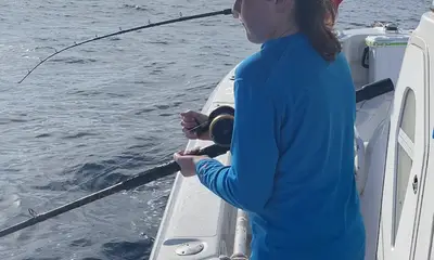Belleair Bluffs Report Video 0