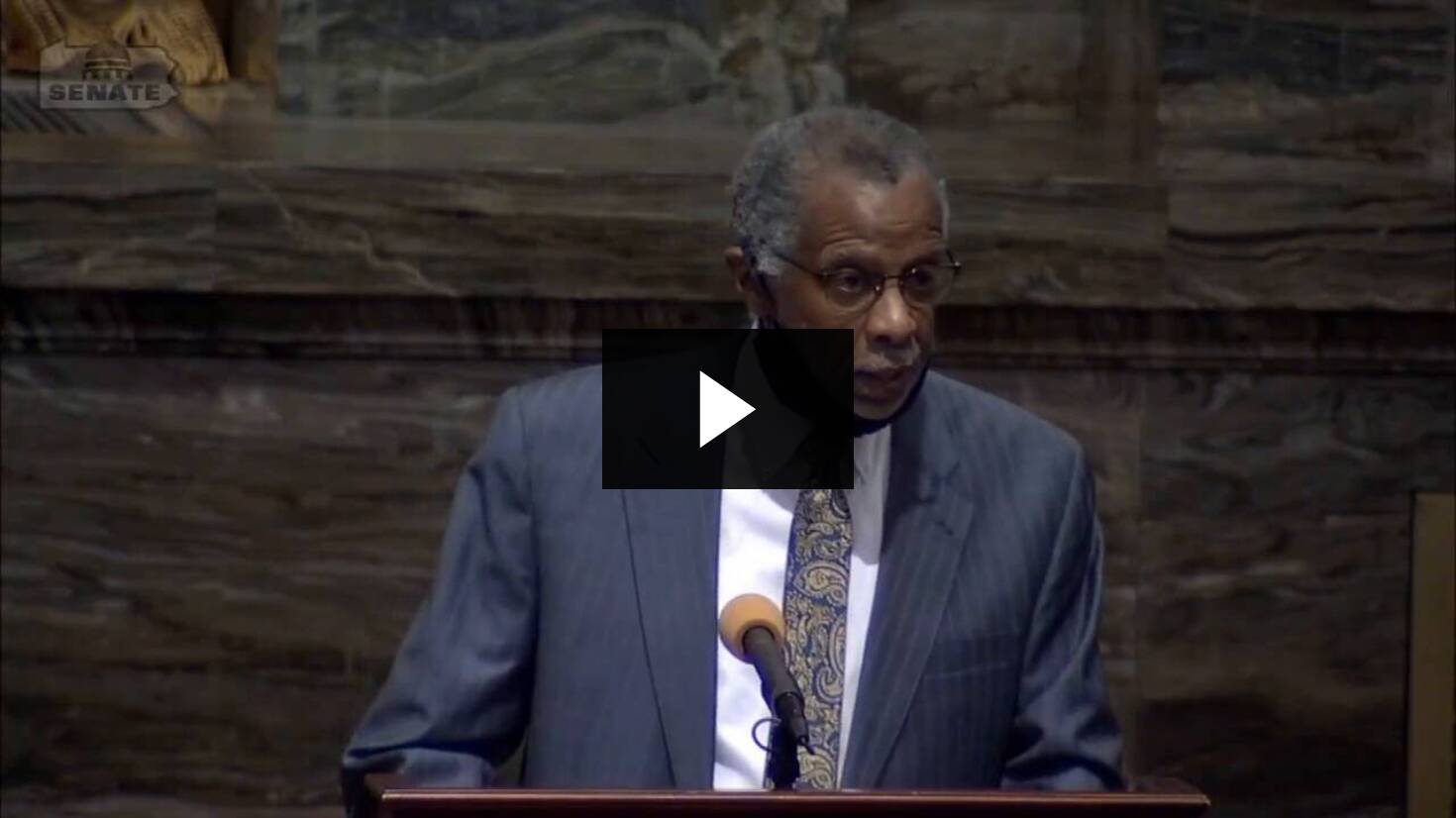 Sen. Haywood Opening Remarks Local Government and Health & Human Services Committee Meeting :: May 4, 2020