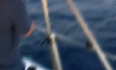 First tuna ever caught